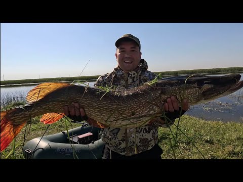 Видео: Клара Захаровна пойман 