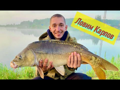 Видео: Ловим Карпа Озеро Серебрянное г. Камышлов
