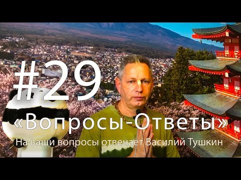 Видео: "Вопросы-Ответы", Выпуск #29 - Василий Тушкин отвечает на ваши вопросы