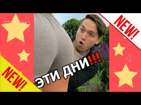 Видео: НЕ ГОВОРИ ЧТО НЕ БЫЛО! ЛУЧШИЕ ВАЙНЫ / НОВЫЕ РУССКИЕ И КАЗАХСКИЕ ВАЙНЫ | ПОДБОРКА #62