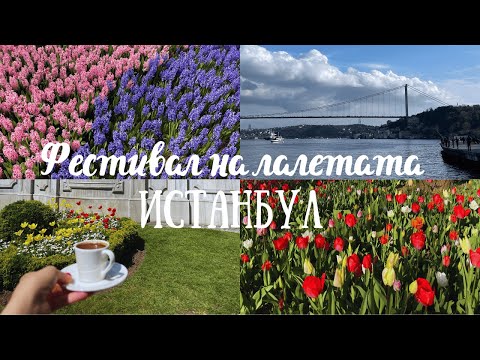 Видео: Как се преобразява ИСТАНБУЛ през пролетта? ФЕСТИВАЛ на ЛАЛЕТАТА 2025 🌷🌿🌞 💐