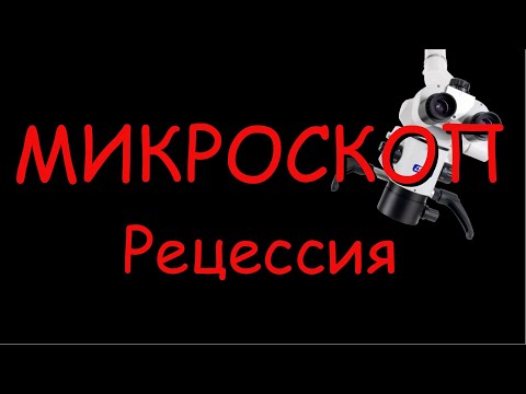 Видео: Рецессия по МИКРОСКОПОМ.