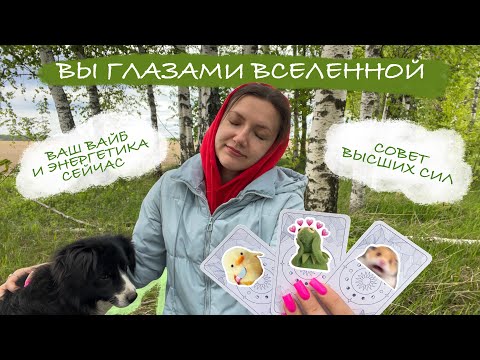 Видео: Вы глазами Вселенной. Ваш вайб и энергетика сейчас. Совет высших сил🪽