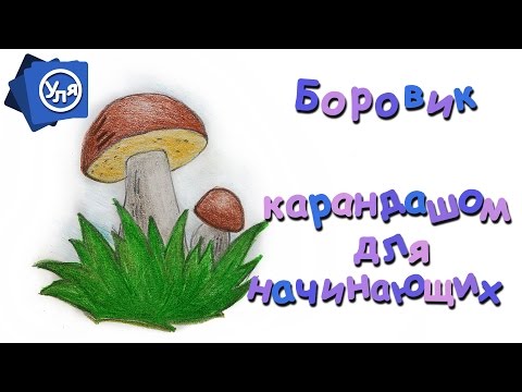 Видео: Как нарисовать грибы // Рисунки карандашом для начинающих "Боровик"