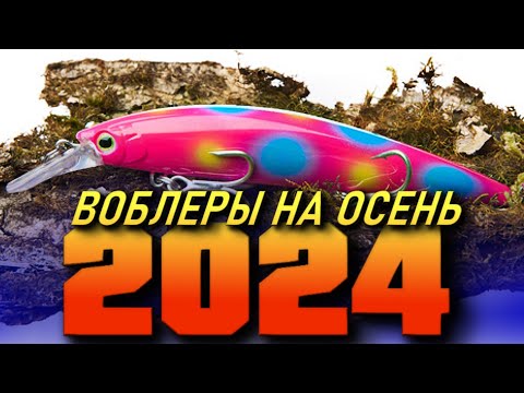 Видео: ВОБЛЕРЫ НА ОСЕНЬ 2024! ТОП ВОБЛЕРОВ НА ЩУКУ И ОКУНЯ 2024! ЩУКА ОСЕНЬЮ НА ВОБЛЕРЫ/РЫБАЛКА НА СПИННИНГ