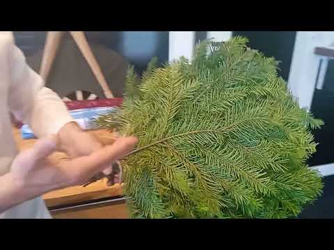 Видео: КАК ПРАВИЛЬНО ХРАНИТЬ ПИХТОВЫЕ ВЕНИКИ🌲 ДЛЯ БАНИ