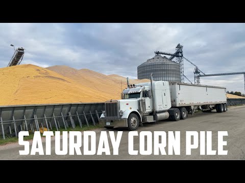 Видео: Доставка кукурузы в кучи по субботам (грузовик с бункером)