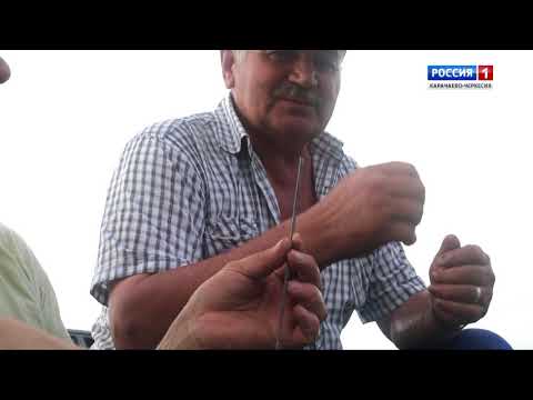 Видео: "Охота на рыбалку. За усачами в верховья Кубани. Часть 1"