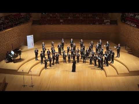 Видео: Г. Свиридов | «Богоматерь в городе» | Хор мальчиков и юношей Cantus