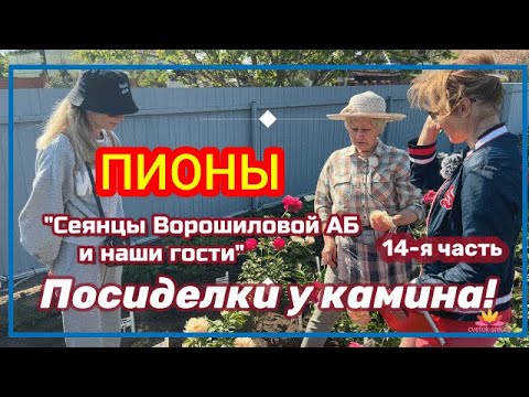 Видео: Посиделки у камина. Часть 14. Гости нашего питомника / Сад Ворошиловой