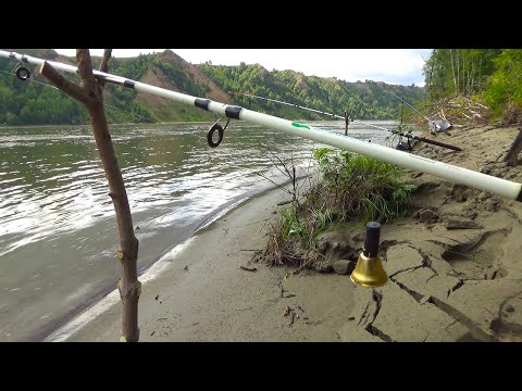 Видео: НЕ ДЕЛАЙТЕ ТАК НИКОГДА! ЕЁ ПОСЛЕДНЯЯ РЫБАЛКА!