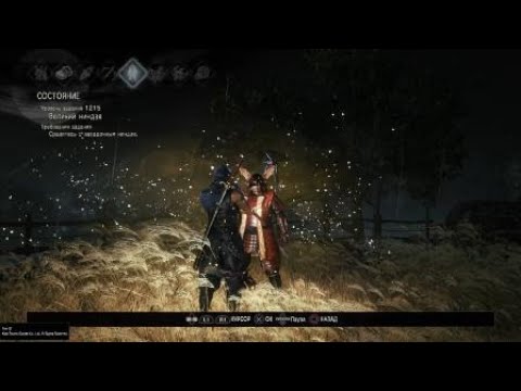 Видео: Nioh WotN Jin Hayabusa Low damage  Путь Нио Джин Хаябуса низкий урон