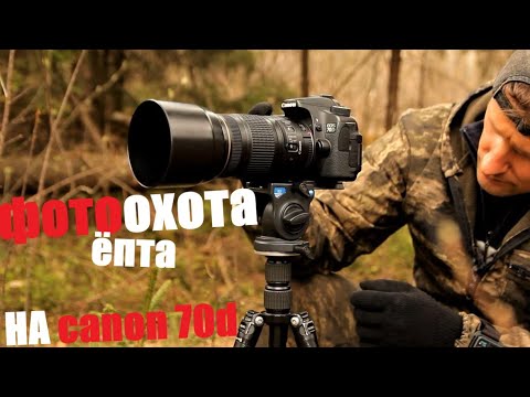 Видео: фотоохота / canon 70D