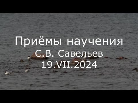 Видео: С.В. Савельев - Приёмы научения