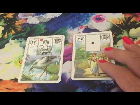 Видео: 17 КАРТА-АИСТЫ 🐣ОСНОВНЫЕ ЗНАЧЕНИЯ КАРТЫ ♥️ МАРИНА -МИР-ЛЕНОРМАН🥀