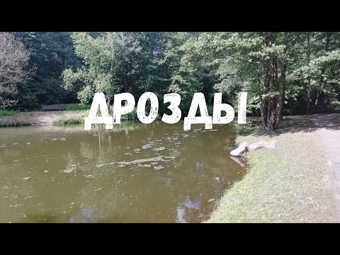 Видео: История урочища Дрозды. Древняя стоянка железного века возле Минска