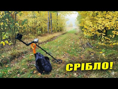 Видео: Коп в дощ. Срібло на старій дорозі. Квазар Ф3