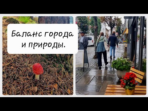 Видео: Выходные в Норвегии. Встречаем осень духовно и физически. 