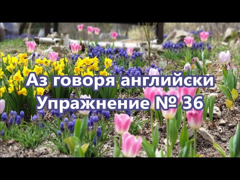 Видео: Аз говоря английски - Упражнение № 36 #английскидуми #английскифрази #учаанглийски