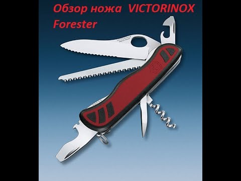 Видео: Проверено на себе. Обзор ножа  VICTORINOX Forester