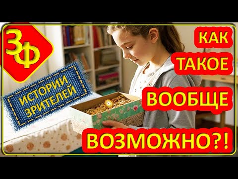 Видео: 220 Как такое вообще возможно?! | Истории Зрителей