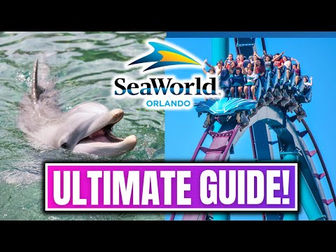 Видео: Seaworld Orlando — все, что вам нужно знать о парке!