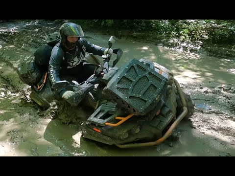 Видео: Чехов - Бункер - Шишкин Лес