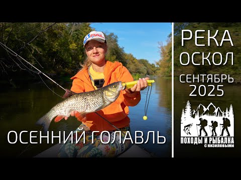 Видео: Рыбалка на голавля в сентябре (Оскол 2025)