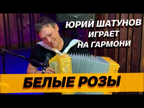 Видео: ЮРИЙ ШАТУНОВ играет БЕЛЫЕ РОЗЫ