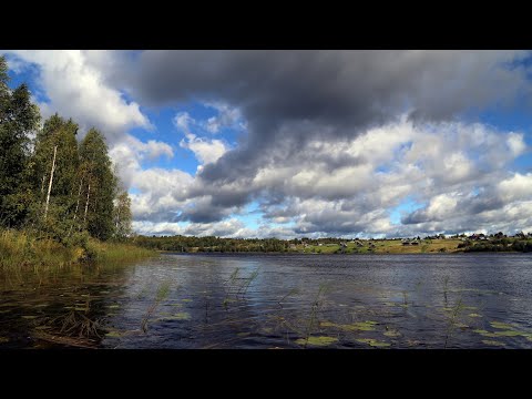 Видео: 2020 Карелия (часть 2) Ежозеро.