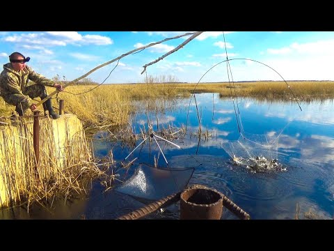 Видео: ПАУК ТРЕЩАЛ ПО ШВАМ ОТ РЫБЫ! РЫБАЛКА на ПАУК В ЗАБРОШЕННОЙ ДЕРЕВНЕ! Рыбалка 2022