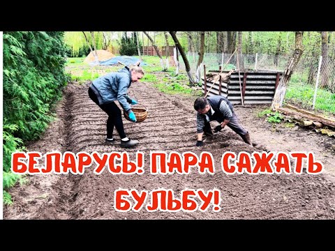 Видео: БЕЛОРУССКИЙ нетипичный хутор на  Майской отсеялся! Готовим шашлык по-советски с уксусом и луком.