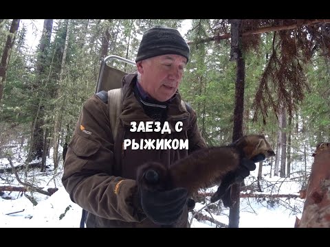 Видео: ПОМЕНЯЛ УРАГАНА НА РЫЖИКА!!! ПРОВЕРИЛИ ПУТИК К МЁРТВОМУ ОЗЕРУ!!!