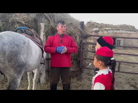 Видео: Талғатов Рамазан, Қапан Айбике. Жетекші- Назарбекова Жәмилә. Ат спортының пайдасы.