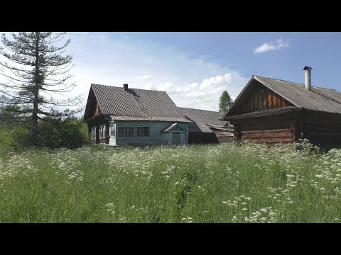 Видео: Недавно заброшенная деревня в глубинке. Крепкие и добротные дома. Кто купил домик в деревне?