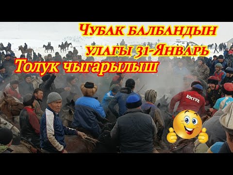 Видео: Чубак балбандын улагы // #Лайк басип кеттиниз // БАРПЫ АЙЫЛЫНДА БОГОН УЛАК 31.01.2023 @BARPYKG