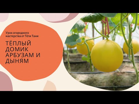 Видео: 529. Парничок и укрытие для арбузов и дынь ...