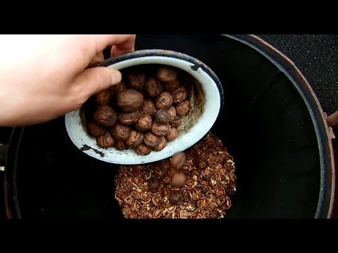 Видео: Биотопливо из грецких орехов (эксперимент №13)