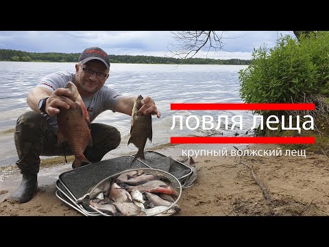 Видео: Фидер на реке. Ловля леща на Волге