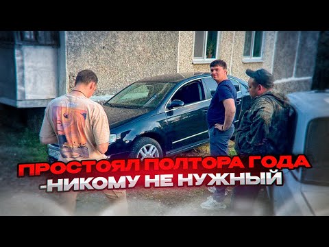 Видео: ПАССАТ ПРОСТОЯЛ 1,5 ГОДА ВО ДВОРЕ БЕЗ ДВИЖЕНИЯ / РАССКАЗАЛ О ПЕРЕСАДКЕ ВОЛОС