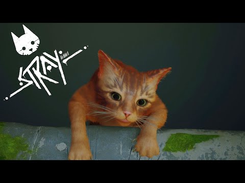 Видео: ЭТА КИСКА В ЗОНЕ РИСКА ฅ₍^• ˕ •^₎ฅ ✦ STRAY #1