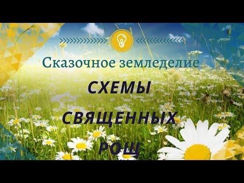 Видео: Схемы Священных Рощ  26 07 21