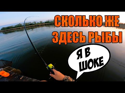 Видео: КлюЁт одна за одной! Это надо видеть!!!  ХОРОШЕНЬКИЕ какие!!!