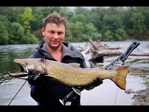 Видео: река Самарга. Осень