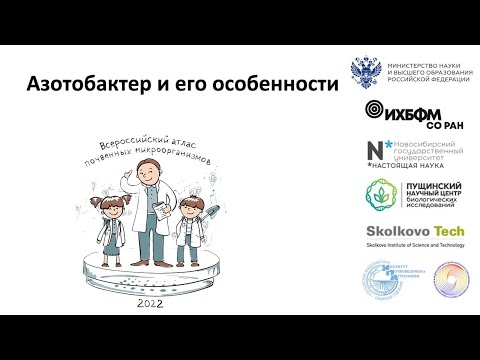 Видео: Азотобактер и его особенности