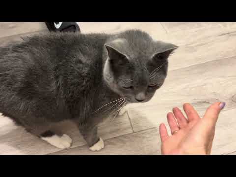 Видео: Встреча с подругой Часть 2