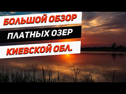 Видео: Обзор платных озер Киевской области | Где ловить рыбу ?