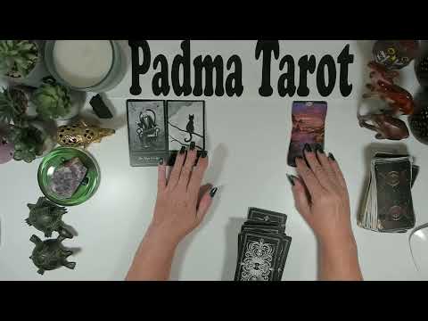 Видео: БЛИЗНЕЦЫ♊️ВАМ ЭТОГО НУЖНО! 20-26 ОКТЯБРЯ КАРЬЕРА И ФИНАНСЫ 💰 Еженедельное гадание на картах Таро 💫 🔮