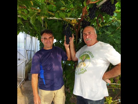 Видео: #61 В гостях у Гречко Михаила Алексеевича (05.08.2021)