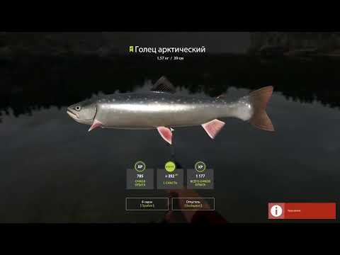 Видео: #70 ОБНОВЛЕННАЯ КАТУШКА В ДЕЛЕ! ▶ Русская рыбалка 4